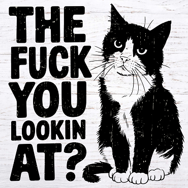 The Fuck You Lookin At? Cat Sign - Attitude with a Feline Flair